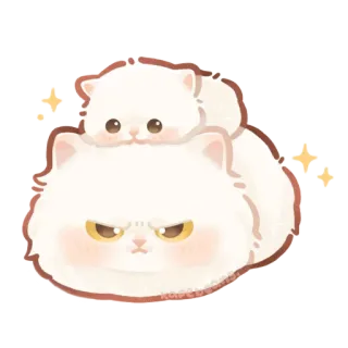 🥴 kucing, anak kucing, marah, lucu, binatang, hewan peliharaan, berbulu, putih whatsapp sticker
