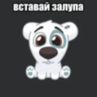 💥 вставай залупа hond, cartoon, aanstootgevend, russisch, vulgair telegram sticker
