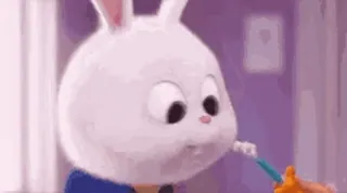 🌟 Snowball The Secret Life of Pets bunny, rabbit, white, cute, brushing teeth, toothbrush telegram sticker