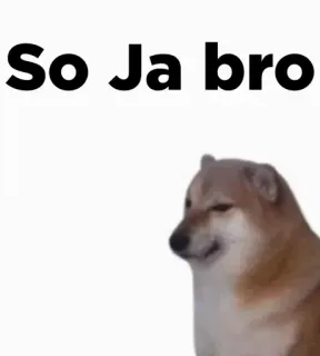 🎭 So Ja bro 개, 밈, Cheems, Doge telegram sticker