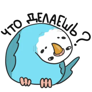 ☺️ ЧТО ДЕЛАЕШЬ? 鸟, 可爱, 鹦鹉, 蓝色, 卡通, 俄语, 问题 telegram sticker