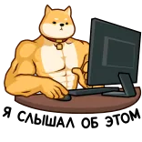 @tgsticker Королевская Битва стикеров telegram stickers