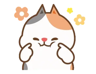 🐰 고양이, 행복, 귀여운, 꽃, 스티커, 이모티콘 whatsapp sticker