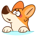 😱 собака, мультфильм, милый, животное, корги, иллюстрация telegram sticker