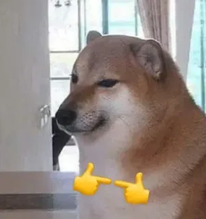 👈 Doge 狗, 表情包, 柴犬, 指 telegram sticker