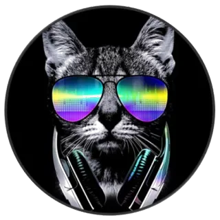 😎 cat, sunglasses, headphones, music, cool, animal, sticker telegram sticker