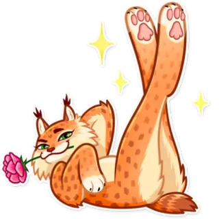 🌹 cat, lynx, flower, cute, animal, cartoon whatsapp sticker