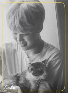 ◾️ Carter pessoa, gato, retrato, adesivo, escala de cinza whatsapp sticker