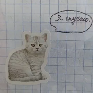 🥺 Я скучаю. 猫, 子猫, かわいい, ペット, 動物, ロシア, フレーズ telegram sticker