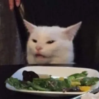 🤔 cat, meme, salad, funny, white cat telegram sticker