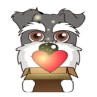 🎁 perro, animal, corazón, amor, caja, mascota telegram sticker
