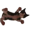 ☆ @emoji1 ★ telegram emojis 🐱