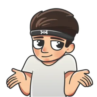 🤷 telegram sticker