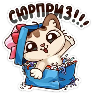 💝 СЮРПРИЗ!!! chat, surprise, cadeau, mignon, animal, fête, dessin animé telegram sticker