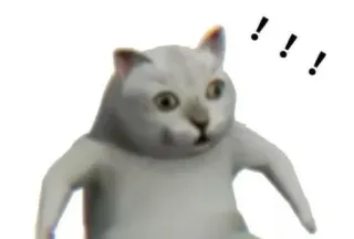 🤣 gatto, meme, sorpreso, animale, divertente telegram sticker
