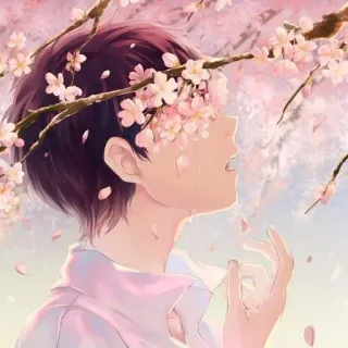 🌟 Anime, Garçon, Fleurs de cerisier, Pleurs, Triste, Printemps telegram sticker
