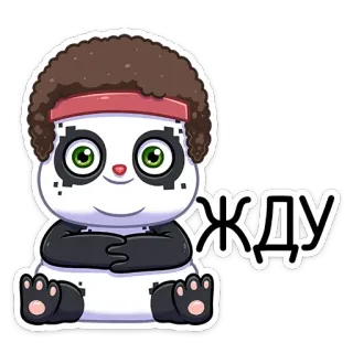 ⏳ ЖДУ Panda, Attente, Mignon, Animal, Dessin animé, Autocollant whatsapp sticker