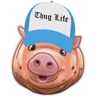 ☺️ Thug Life Schwein, Ganove, Gangster, Kappe, Tier telegram sticker