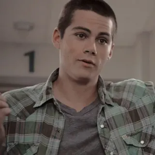🦊 Stiles Stilinski Teen Wolf 틴 울프, 스타일즈 스틸린스키, 딜런 오브라이언, TV 프로그램 telegram sticker