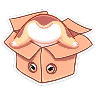 🐕 귀여운, 동물, 상자, 고양이, 새끼 고양이, 애완 동물 telegram sticker