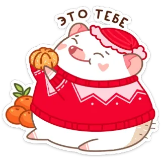 🍊 ЭТО ТЕБЕ criceto, carino, mandarino, inverno, adesivo, saluto, felice telegram sticker