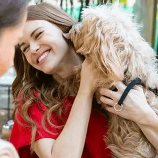 🌲 hond, vrouw, huisdier, vriendschap, blij, liefde, schattig telegram sticker