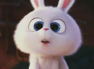 🕊 Snowball The Secret Life of Pets thỏ, trắng, dễ thương, động vật, thú cưng telegram sticker