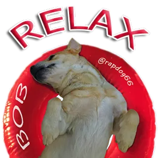 🤤 Bob RELAX
BOB
@rapdog66 dog, relax, chill, pet, animal, bob, rapdog66 telegram sticker