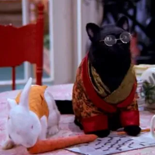 👗 Salem Saberhagen Sabrina the Teenage Witch cat, bunny, Salem, glasses, pet, carrot, magic telegram sticker