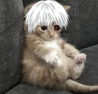 ⛓️ Ken Kaneki Tokyo Ghoul cat, kitten, tokyo ghoul, anime, manga, ken kaneki, funny telegram sticker