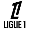 🇫🇷