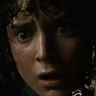 💍 Frodo Baggins The Lord of the Rings Frodo, O Senhor dos Anéis, Elijah Wood, medo, ansiedade whatsapp sticker