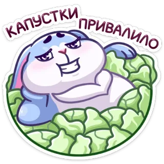 💰 КАПУСТКИ ПРИВАЛИЛО кролик, капуста, животное, мультфильм, наклейка, смешной, милый telegram sticker