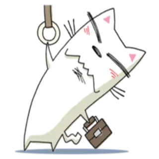 🚌 kot, biuro, dojazdy, naklejka, zwierzę, biznes whatsapp sticker