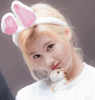 🐰 telinga kelinci, imut, rambut pirang, potret, wanita, hamster whatsapp sticker