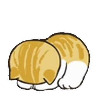 🐈