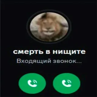 😵 смерть в нищите Входящий звонок... phone, call, meme, incoming call, lion, interface telegram sticker