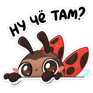 ❓ НУ ЧЁ ТАМ? เต่าทอง, น่ารัก, การ์ตูน, แมลง, สัตว์, คำทักทาย telegram sticker