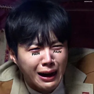 😭 PAIN PAIN pleurer, triste, détresse, douleur, émotion, larmes telegram sticker