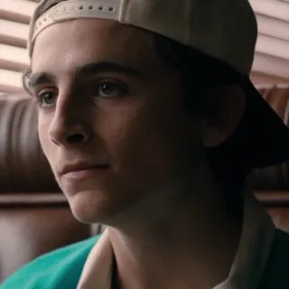 😐 Timothée Chalamet актер, мужчина, портрет, знаменитость, лицо, красивый whatsapp sticker