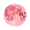 🌙