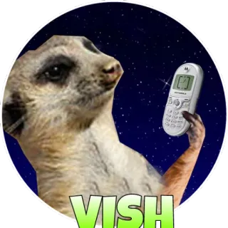 😟 VISH suricata, animal, celular, estrelas telegram sticker