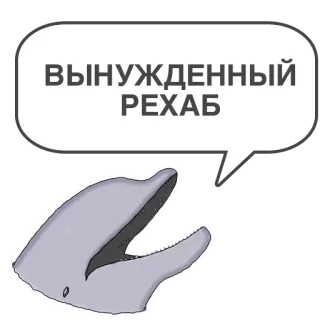 😈 ВЫНУЖДЕННЫЙ
РЕХАБ delfín, rehabilitación, rehabilitación forzada, gracioso, animal, bocadillo whatsapp sticker
