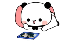 🍩 Panda, Cartoon, Tier, Niedlich telegram sticker