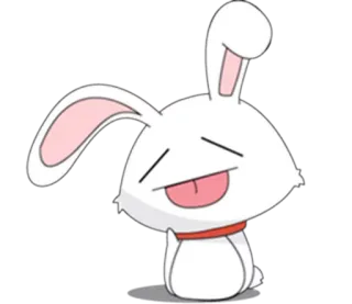 😛 lapin, lapin blanc, animal, dessin animé, mignon whatsapp sticker