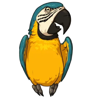 🐥 papagaio, pássaro, animal, azul, amarelo, arara whatsapp sticker