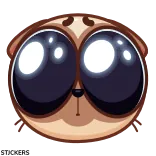 🥺 chien, mignon, animal, animal de compagnie, dessin animé, drôle, yeux telegram sticker