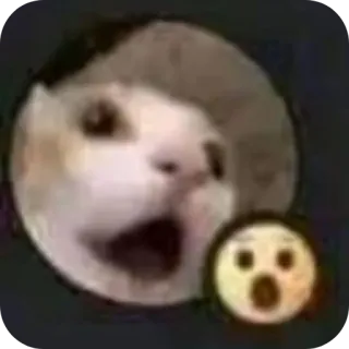 👄 gatto, meme, emoji, divertente telegram sticker
