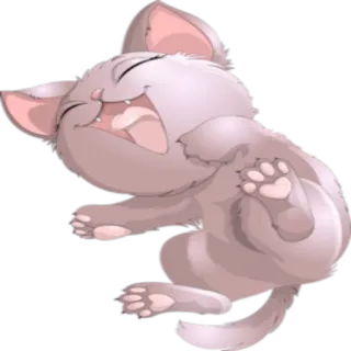 🤣 kat, kitten, dier, huisdier, schattig, slaperig, gapend whatsapp sticker