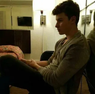 😔 Shawn Mendes Shawn Mendes, celebrity, singer, actor, portrait telegram sticker